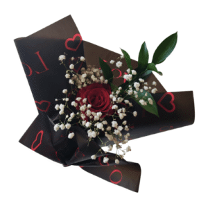 1 rosa con follaje del día