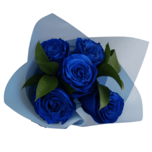 Ramo de 5 rosas Azules